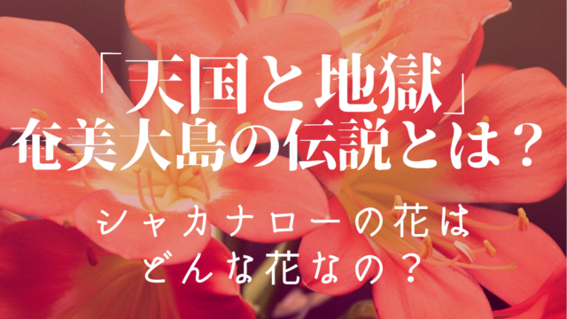 この恋あたためますか 恋あたキャスト相関図あらすじを徹底解説 森七菜 中村倫也 Kokodora