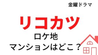 リコカツ 最終回 あらすじネタバレと視聴率 咲と紘一は再婚して元サヤ Kokodora